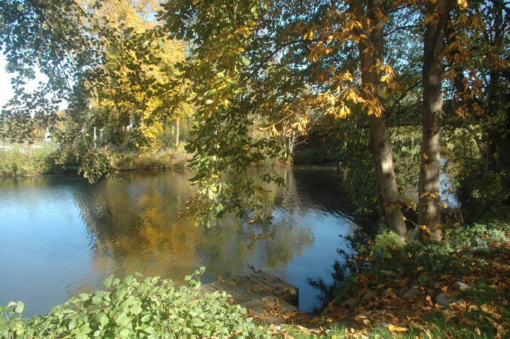 Garten 2